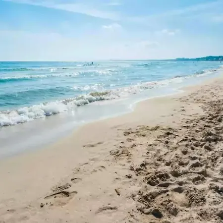 Chalet Rosa - House In Platja D'alcudia Free Wifi *
